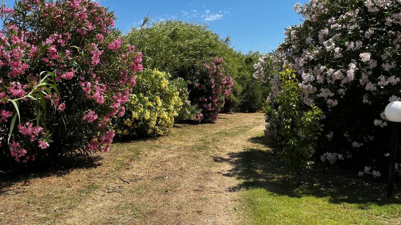 סנטה טרזה גאיורה Hotel Frassetto מראה חיצוני תמונה